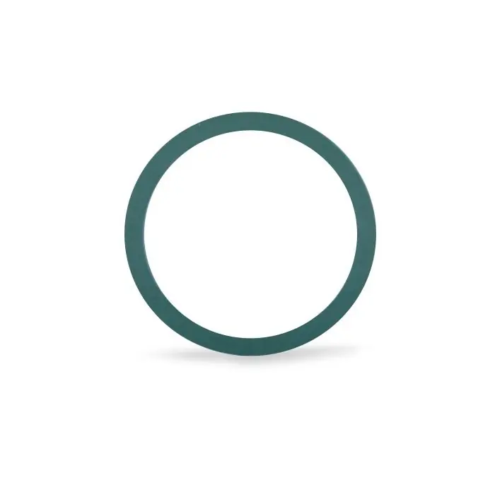 General Filters bg5-1a Fkm Biogasket
