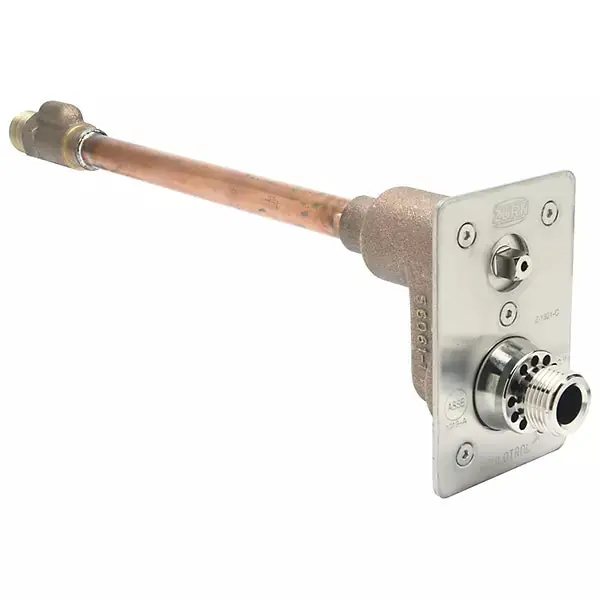 Zurn Z1321-C Wall Hydrant