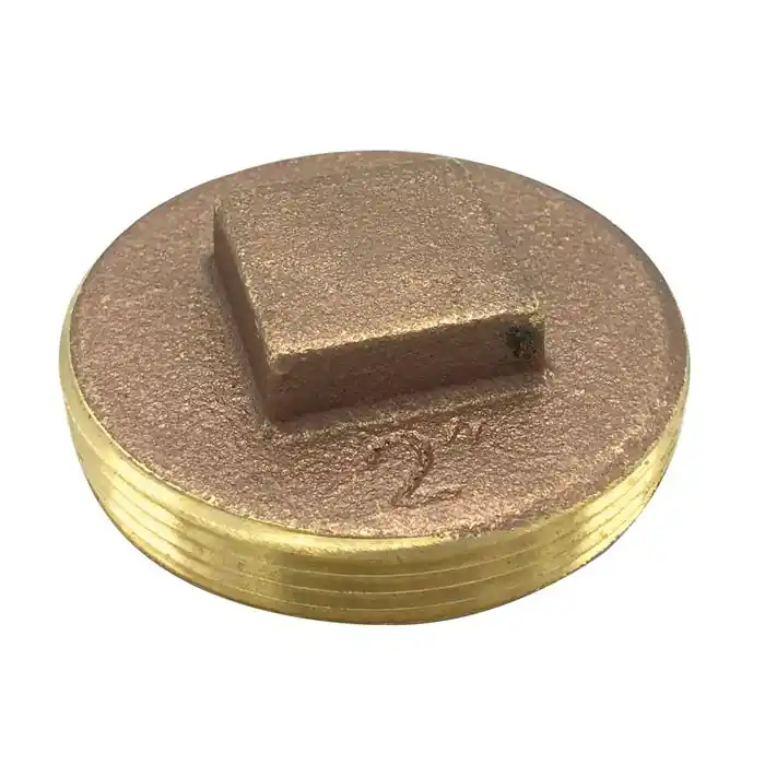 Wal-Rich 2424204 2 1/2 inches Raised-Head Brass Plug