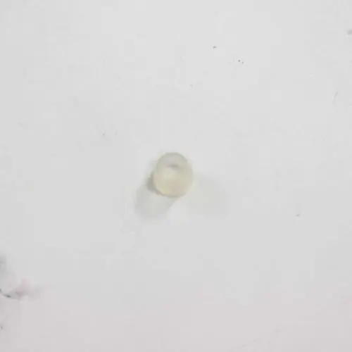 Saeco 996530018115 Transparent Cap Knobs Bean Container