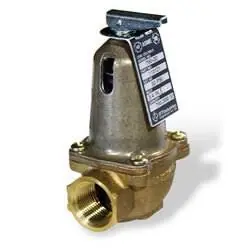 Bornquist 110121 Valve 30 Lb