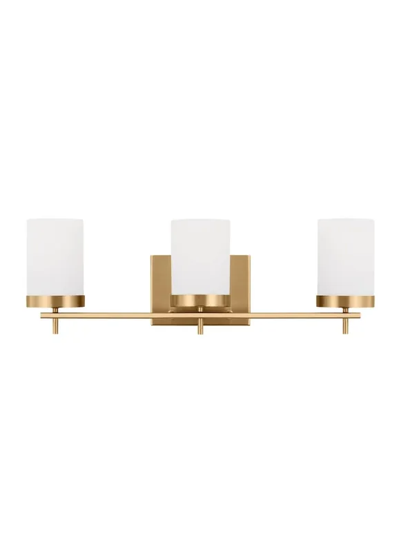 Seagull Lighting 4490303-848 Zire 3 Light 24 inch Bath Vanity Light