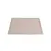 Delonghi as00003672 Replacement Grid