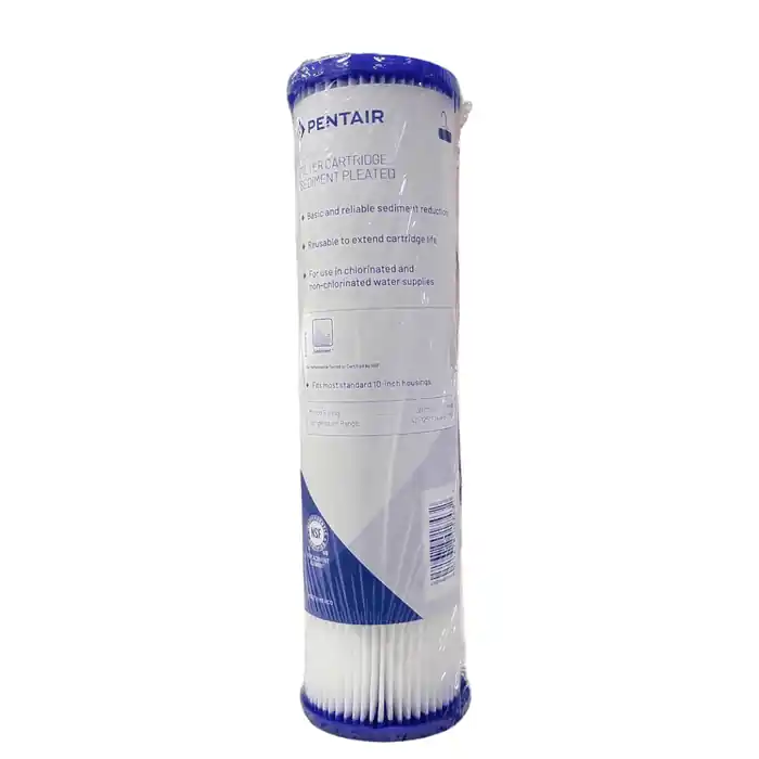 Pentair 155038-43 R50 Pleated Sediment Filter 50 Micron