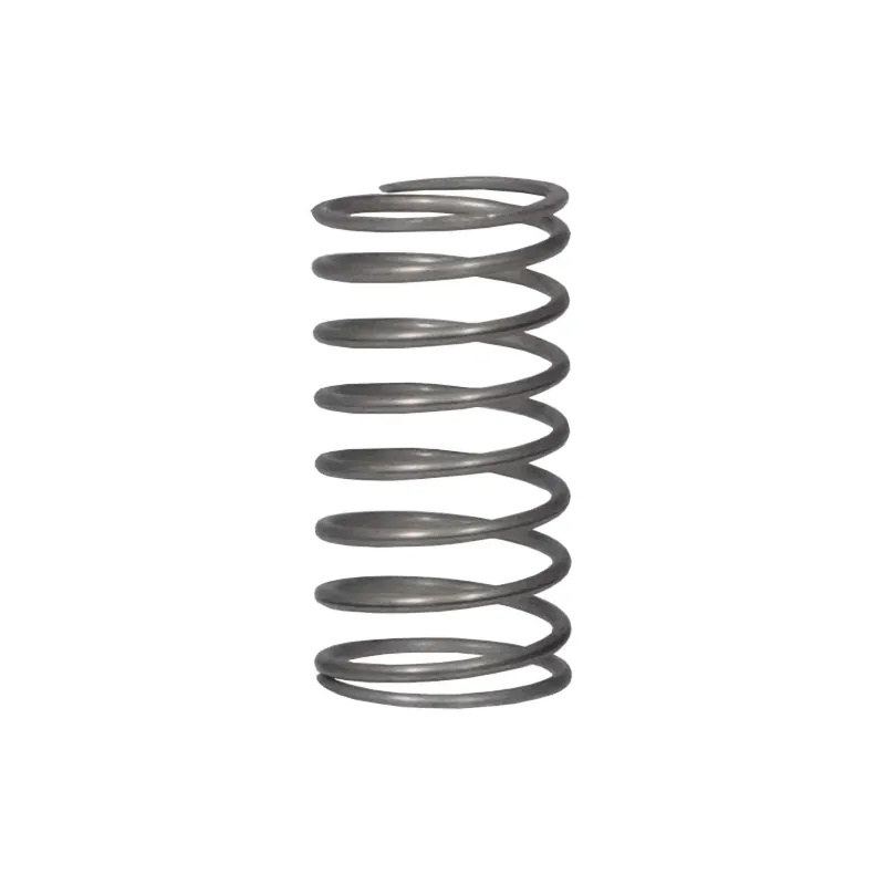 Mi-t-m 49-0123 Check Valve Spring
