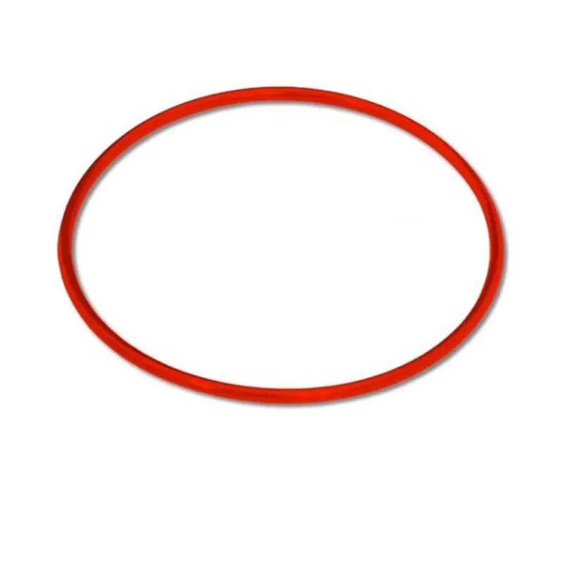 Pentair 151118 O-Rings for Pentek Filter Housings (3 Pack) OR-241