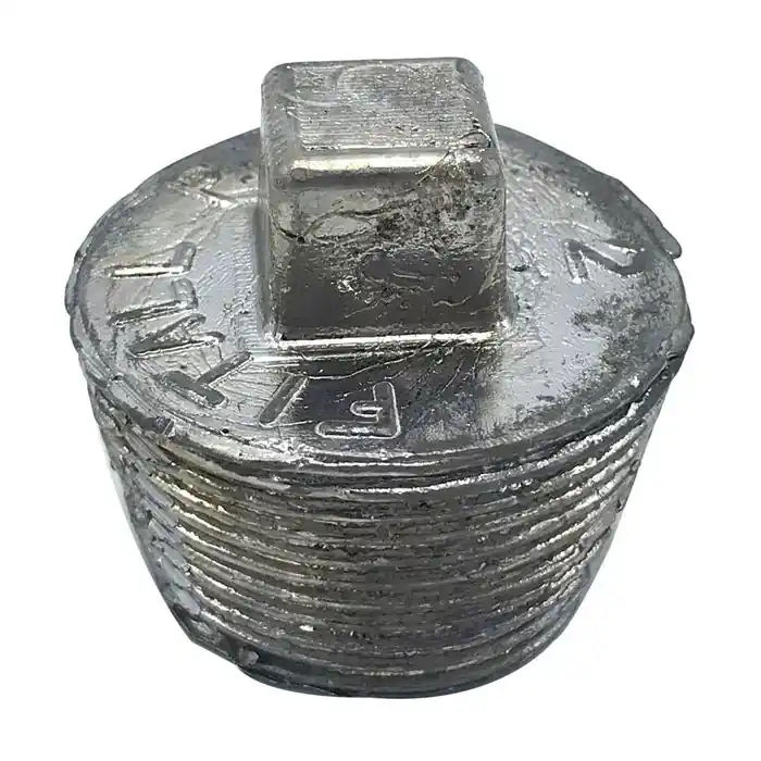 Wal-Rich 2424002 Lead Fitall Plug 2 inch