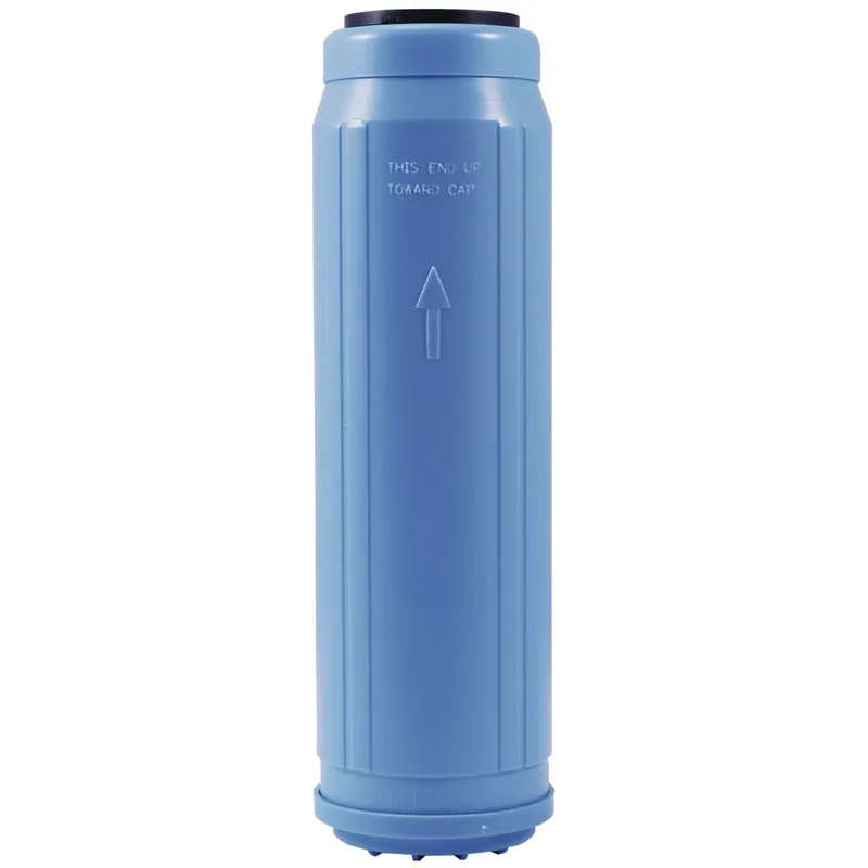 Watts PWGAC10 Granular Activated Carbon Cartridge 10 x 2 3/4 IN
