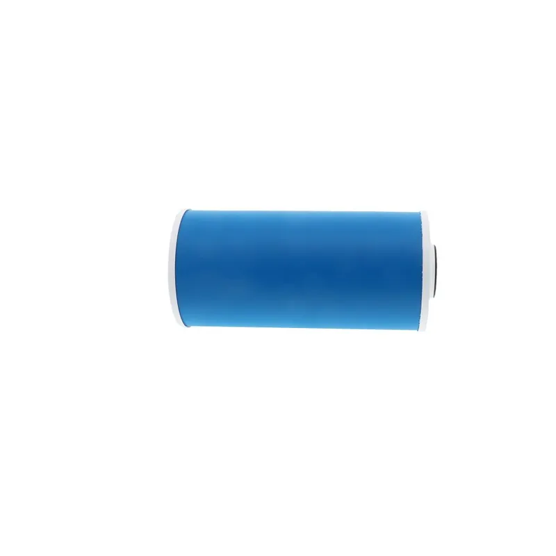 Pentair 155153-43 Pentek 10 inches Heavy Duty Water Filter GAC-BB