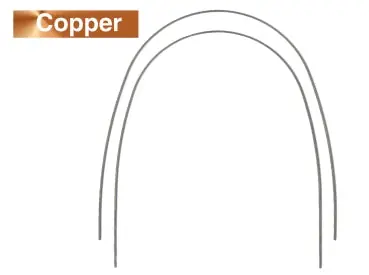 Titan 520-022 Backup Ring