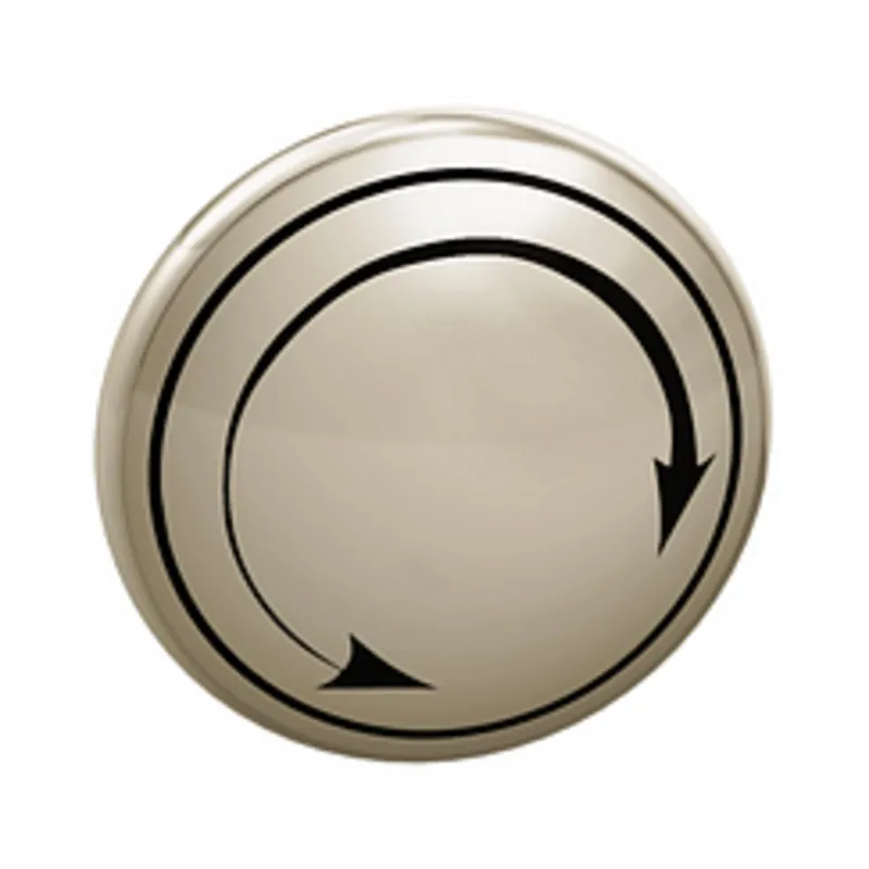 Moen 221772NL Cap Polished Nickel