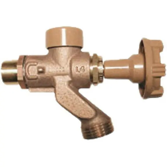 Woodford 101P Model 101 Anti-Siphon Wall Faucet 3/4 inches MPT x 1/2 inches FPT